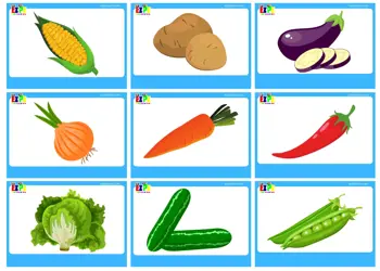 Vegetables Flashcards without words. Use online or free PDF download.